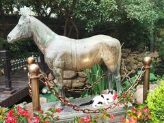 -马勒别墅·中餐厅