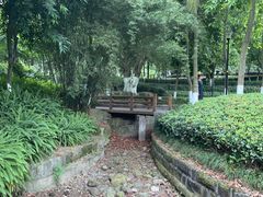 -龙头寺公园