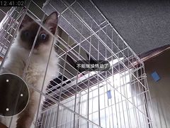 -PETKIT小佩宠物·低压洗护(国顺东路店)