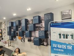 -伟伟宠物医院·CT影像中心·瑞派犬猫综合性门诊(汉口总院)