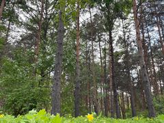 -黑龙江省森林植物园