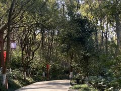 -天目湖山水园