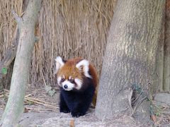 -宁波野生动物园