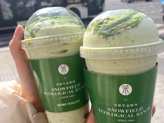 -茉酸奶(春熙路店)