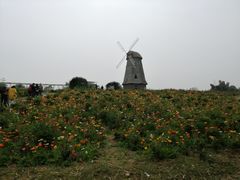 -都江堰玫瑰花溪谷