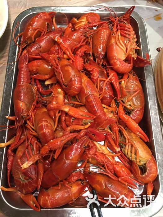 鄞江桥头龙虾图片 - 第7张
