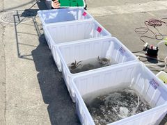 -太湖面馆十八浇(渔港路店)