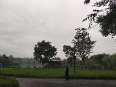 -白鹭湾湿地公园