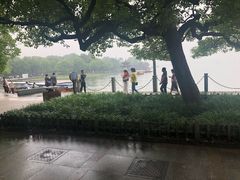 -西湖外事游船(花港观鱼码头)