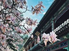 -潭柘寺景区