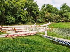 -上海海湾国家森林公园