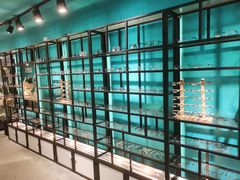 -Trend1881视光·蔡司视觉(领展广场店)