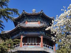 -颐和园