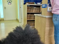 -芭比堂动物医院广州顽皮分院