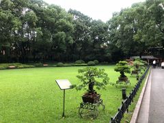 -申粤轩酒楼·三十年粤菜经典(丁香花园店)