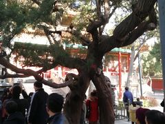 -白鹿原影视城