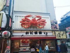 -蟹道乐(道顿堀本店)