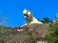 -乌素图国家森林公园