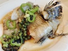 -利苑酒家(金宝店)