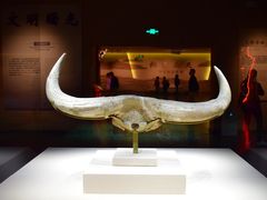 -宁夏博物馆