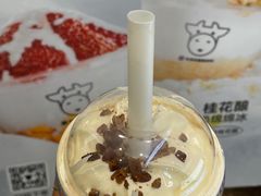 -一只酸奶牛(春熙路店)