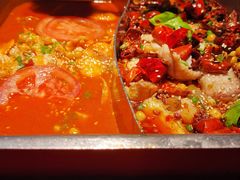 -舒来喜鱼锅(伊河路店)