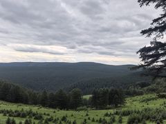 -芦芽山旅游度假区