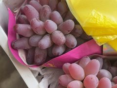 -马陆小张葡萄园农家乐