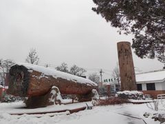 -国家植物园南园