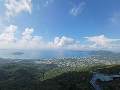 -三亚亚龙湾人间天堂鸟巢度假村