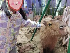 -正佳雨林生态植物园