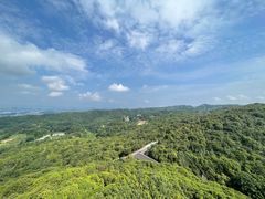 -贵州百里杜鹃风景名胜区