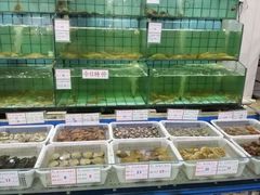 水产区-海岛渔村大酒店(云霄路店)