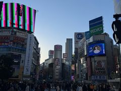 -涩谷区