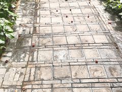 -黄埔荔枝公园