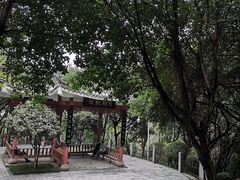 -龙头寺公园
