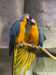 -Zoolung Zoolung动物主题公园(海信广场店)