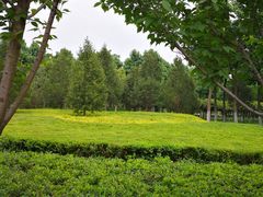 -洨河生态公园