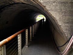 -白水寺森林公园