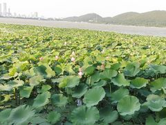 -云龙湖旅游景区