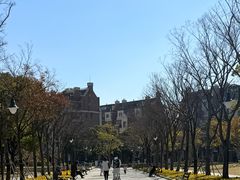 -新江湾城公园
