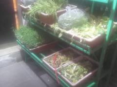 -東城故事·尋找姆媽的味道(玉兰路店)