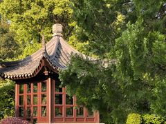 -杭州西子湖四季酒店-WL BISTRO西湖餐厅(灵隐路店)