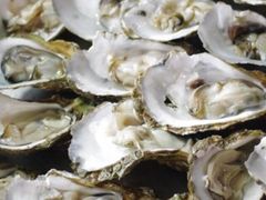 iphone_upload_pic-覃记海鲜美食餐厅