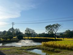 -共和国摇篮旅游区-红井景区