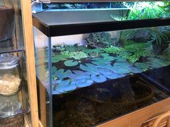 自助取餐区-甜心闲生传统手工冰粉(奎星楼店)