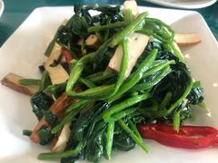 -马氏大盘鸡(原胜利桥东店)