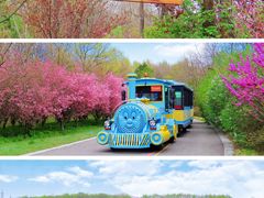 -江苏三台山国家森林公园