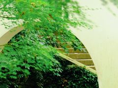 -虎跑公园