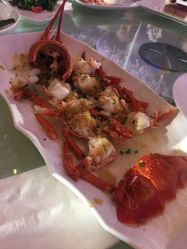 -无锡君来洲际酒店·宴会厅